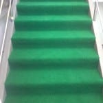 Sinteros verde pe scari exterioare